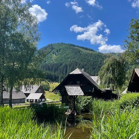 Hotel Ferienhaus Bettina Rassis Feriendorf Donnersbachwald Esterno foto