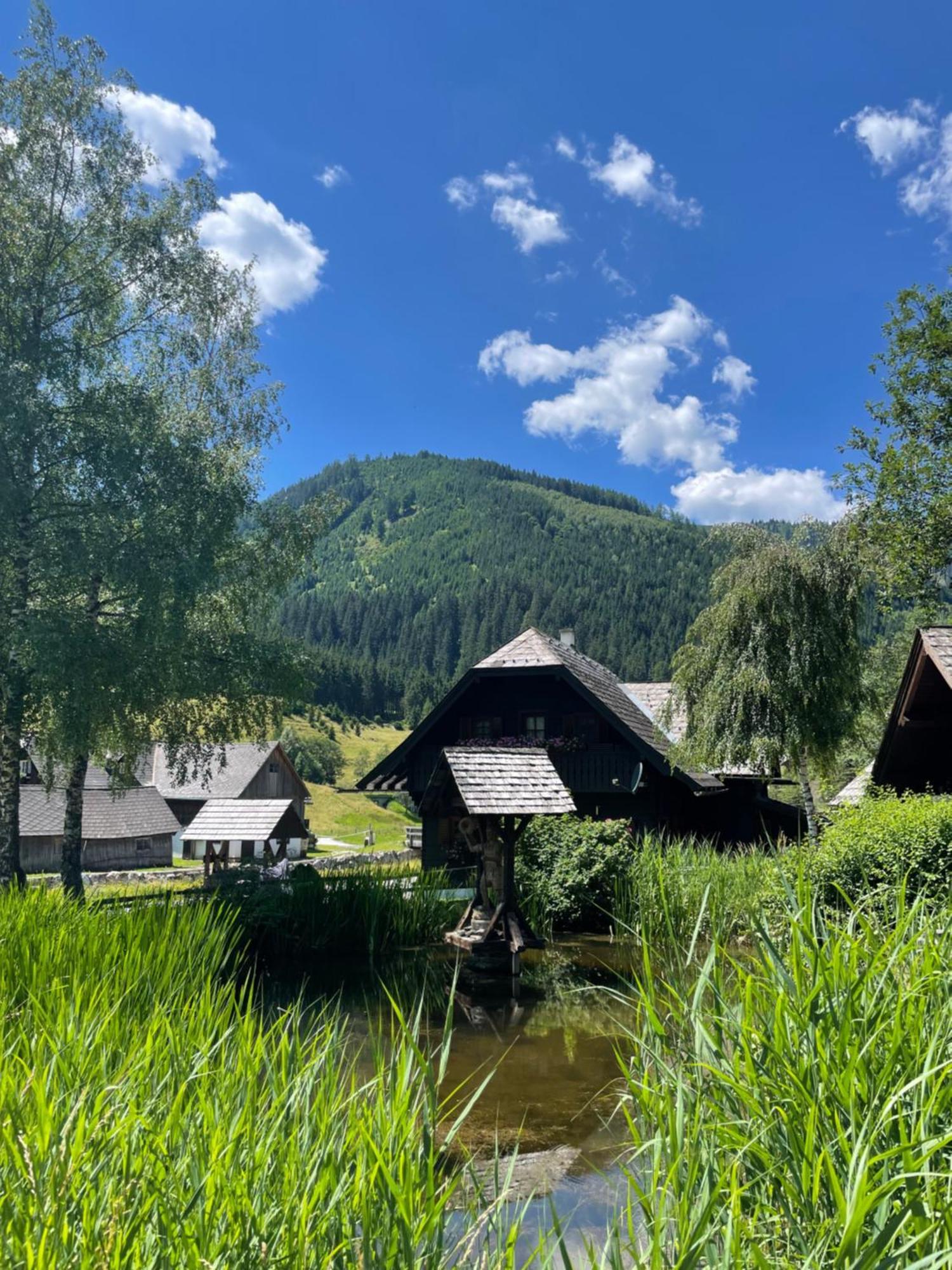 Ferienhaus Bettina Rassis Feriendorf Donnersbachwald Esterno foto